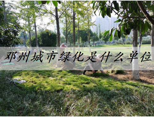 鄧州城市綠化是什么單位