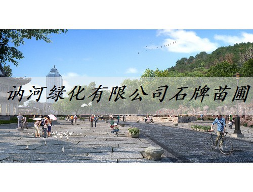 訥河綠化有限公司石牌苗圃