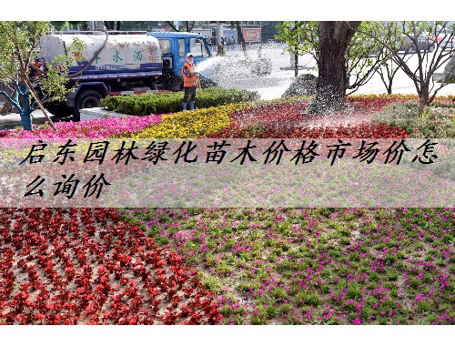 啟東園林綠化苗木價格市場價怎么詢價