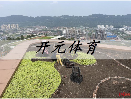 達州城市綠化養護的重要性