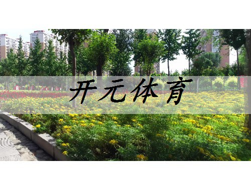 討論城市綠化的保護與管理