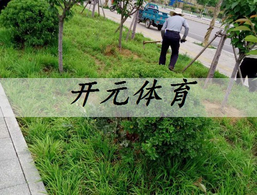 大冶最大綠化苗市場在哪里