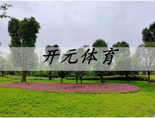 南安找綠化工作怎么找汕頭市