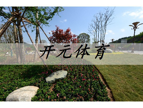泰州恒大一期綠化工程進度