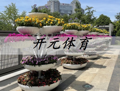 漳州城市綠化的植物品種