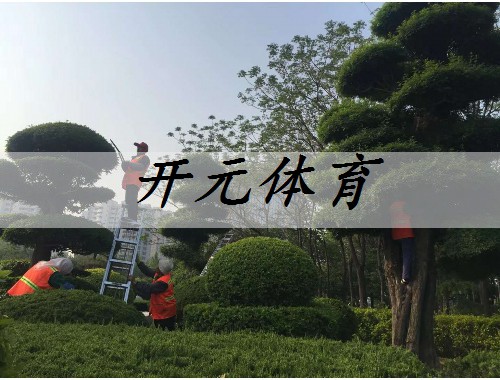 漯河市政道路綠化常用苗木