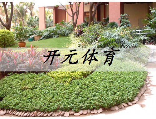 小區綠化工程資料清單