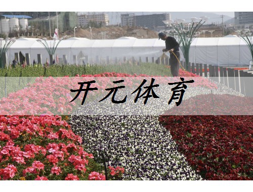 深圳智能綠化工程哪家強