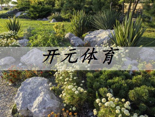 涿州城市綠化一般種什么花