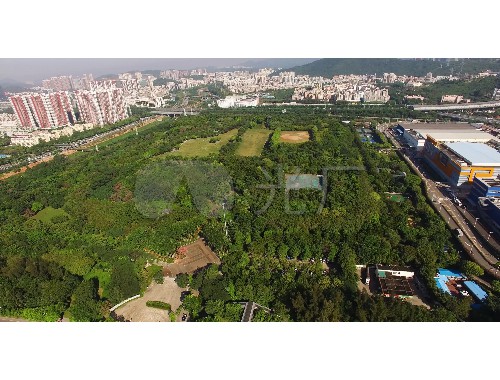 津市綠化和市容管理局局長