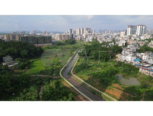 瀏陽綠化和市容管理局領導班子