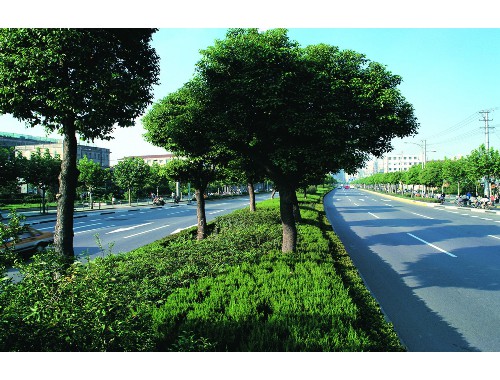 海倫綠化和市容局副局長