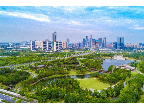 河東市政綠化樹木品種有哪些