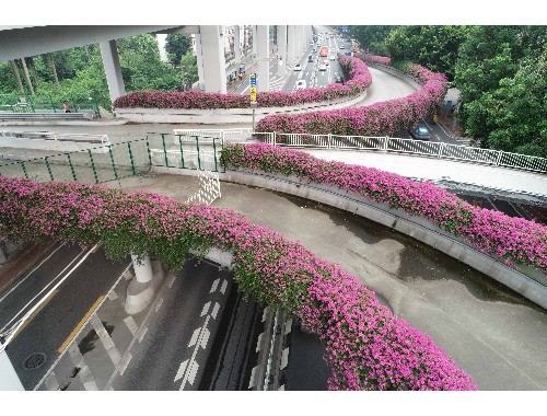 泰州市姜堰區城市綠化