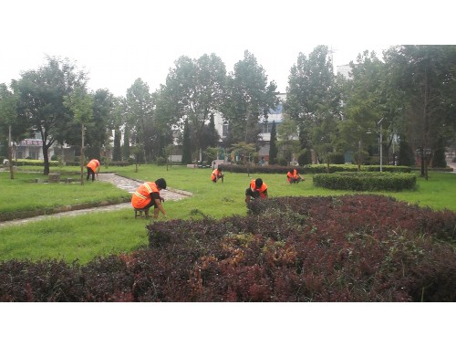 泰州城市綠化管理處