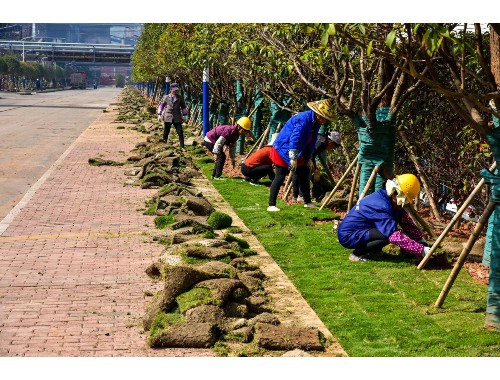 五大連池園林綠化處待遇