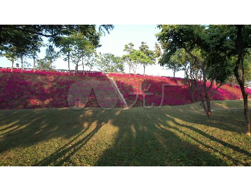 宿州市園林綠化辦公室