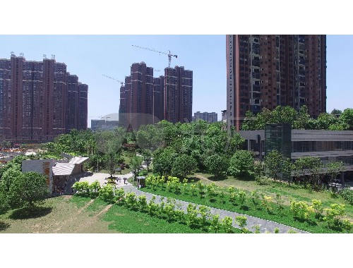 泰州綠化工程造價招標信息