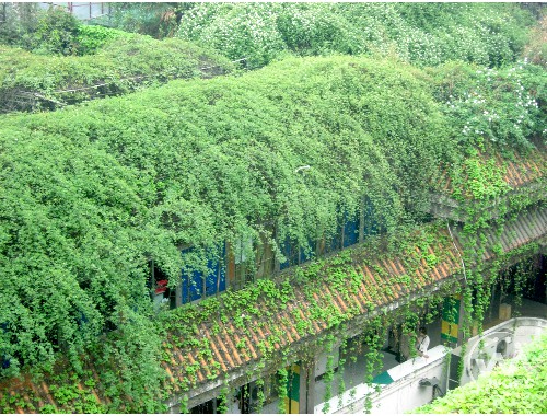 津南市政綠化工程是什么專業