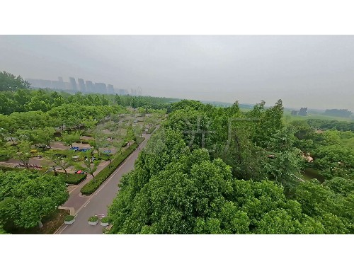 洪湖市綠化造園建設集團有限公司