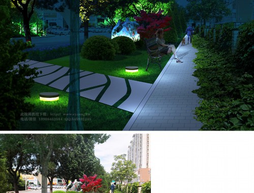 洛陽市政道路綠化樹苗種類有哪些