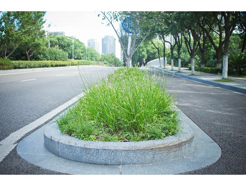 泰州園林局綠化工程