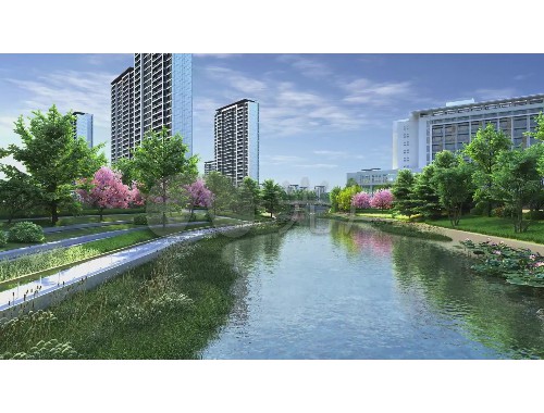 泰興城市綠化樹種類介紹