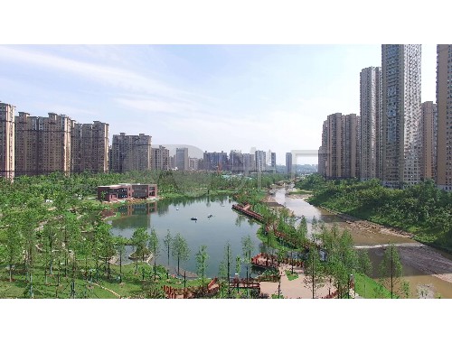 津南政綠化工程招標網