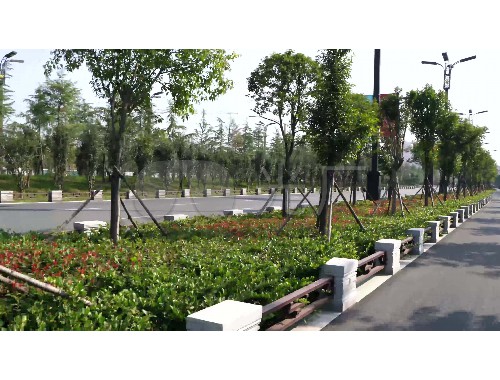 泰安黑水灣零綠化工程招標