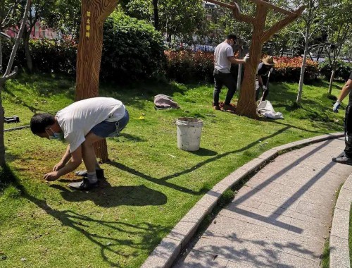 洪湖園林綠化養護收費標準定額