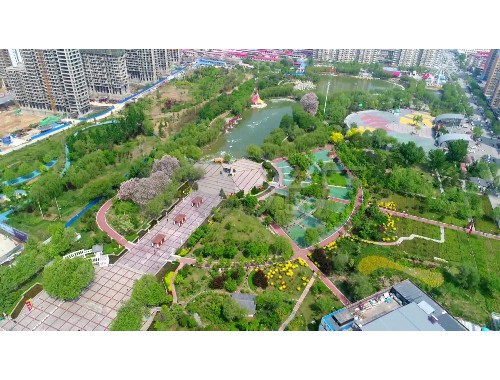 泰州綠化工程服務方案