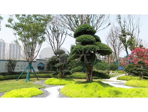泰安綠化工程造價信息公示