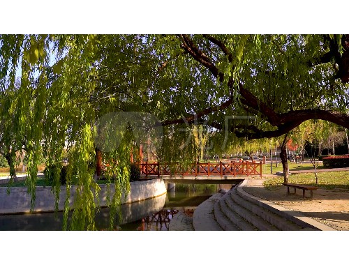 廣元園林綠化處稠城分所