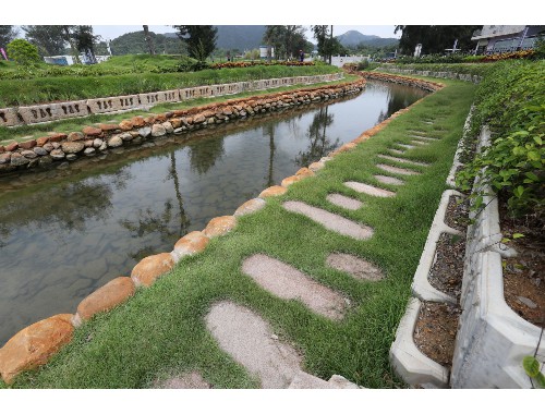 泰州公路綠化工程