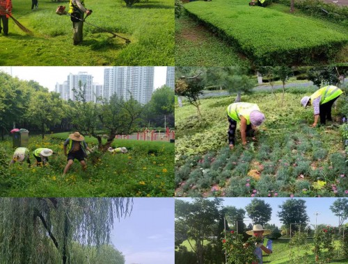 泰州市政園林綠化工程有限公司
