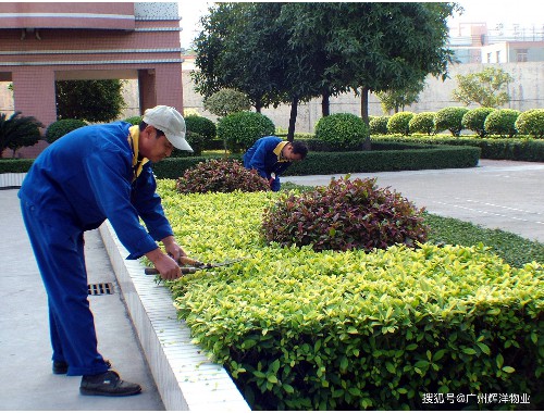 泗縣運河城外灘綠化工程