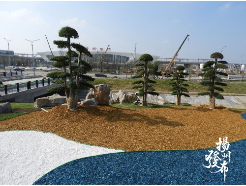 泰安市園林綠化工程