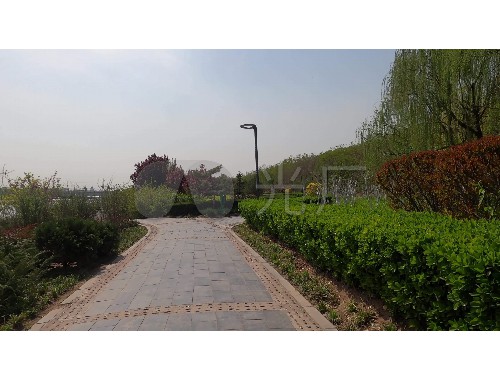 泰安晟偉園林綠化工程招聘