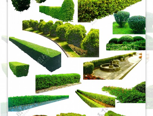 泰安市園林綠化工程招標