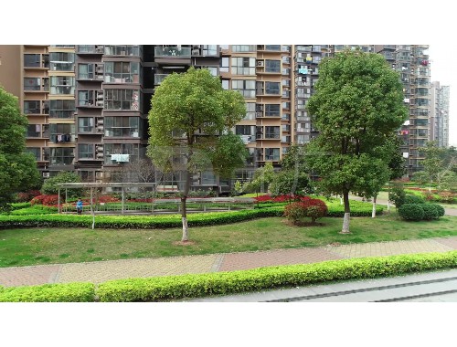 泰安城市綠化無紡布