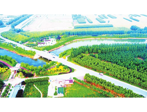 武清園林綠化工程公司排名第一