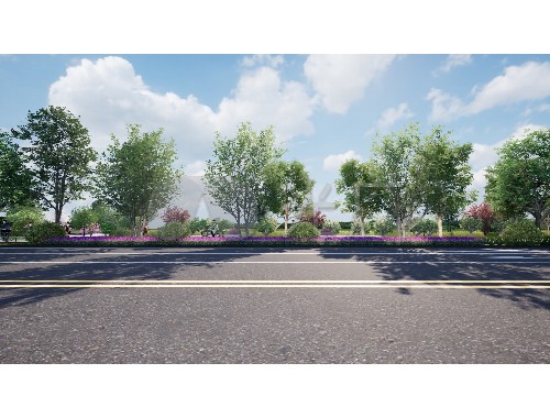 德惠綠化樹苗批發市場在哪兒