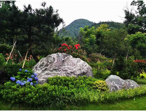 沭陽珂宇園林綠化工程苗木