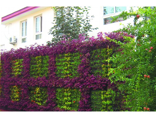 泰州文松園林綠化工程