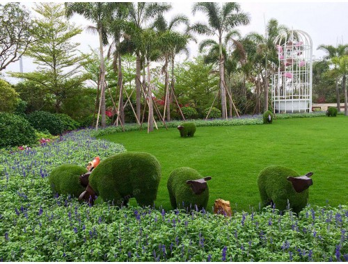 泰安園林綠化工程樹種植基地