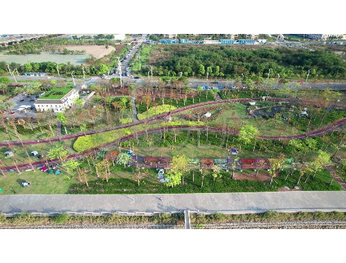 泉州城市道路綠化規范2022