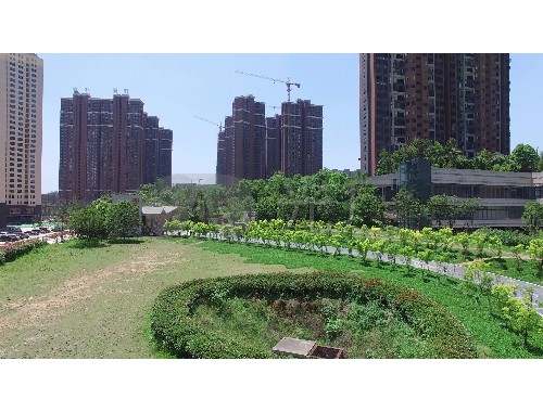 泰安市城市綠化政策