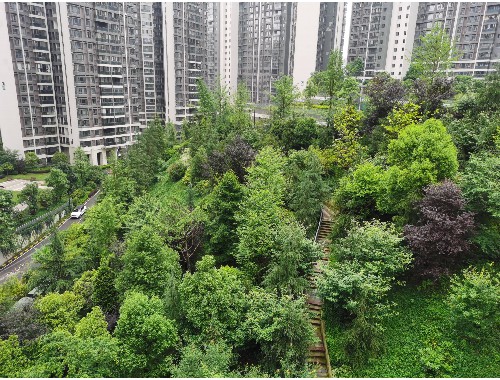 泰寧縣園林綠化工程公司