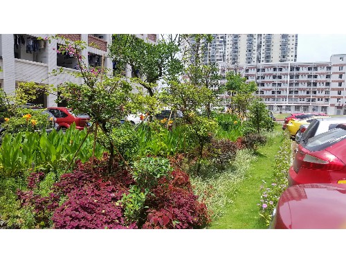 沁陽綠化公司怎么樣