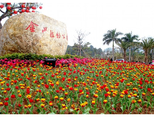 河北綠化有限公司袁美華